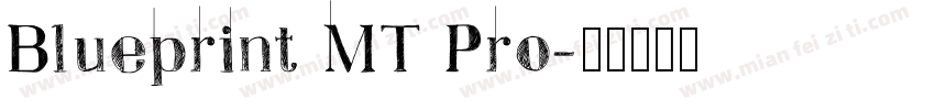 Blueprint MT Pro字体转换
